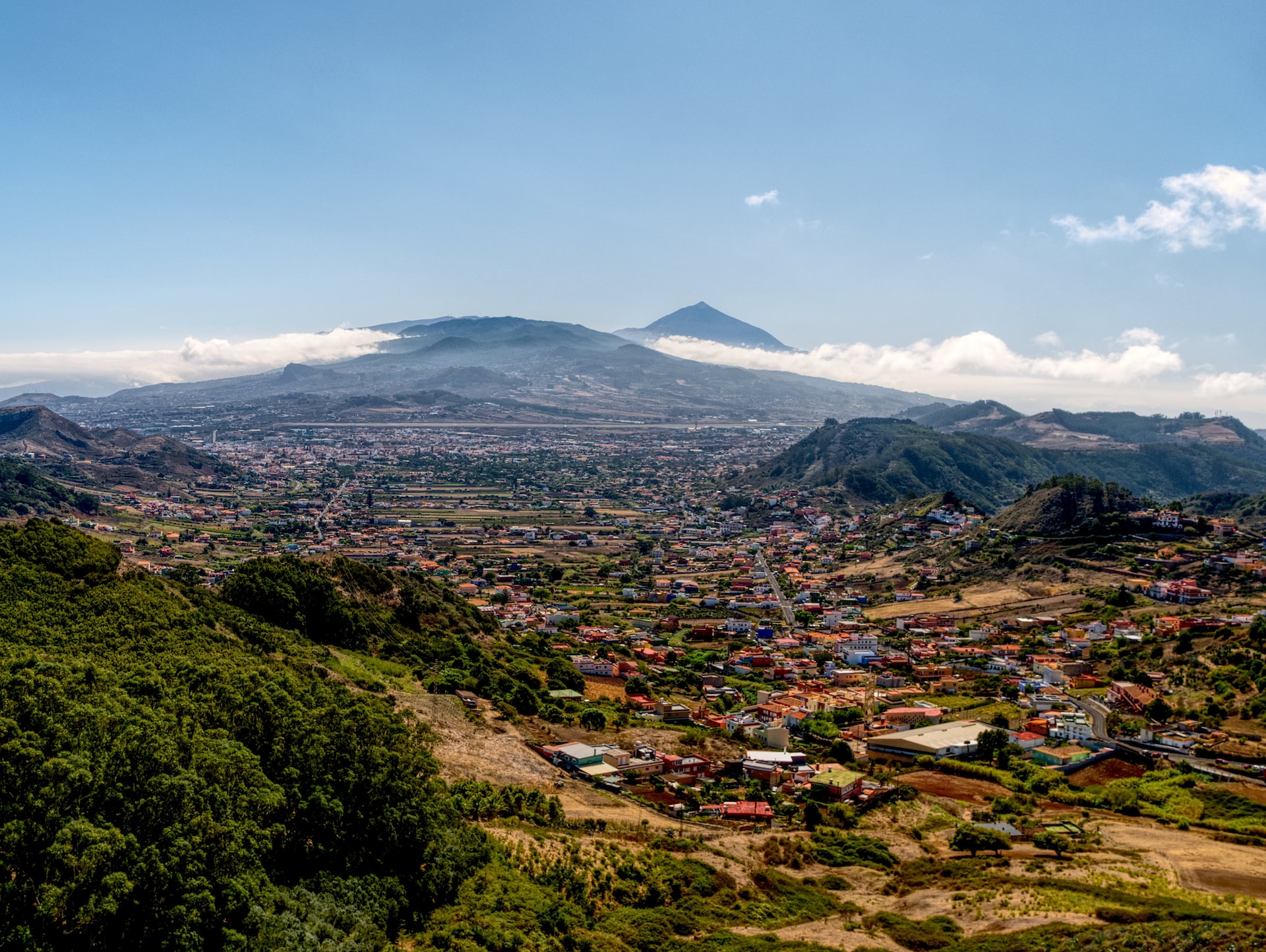 production coordinator venezuela