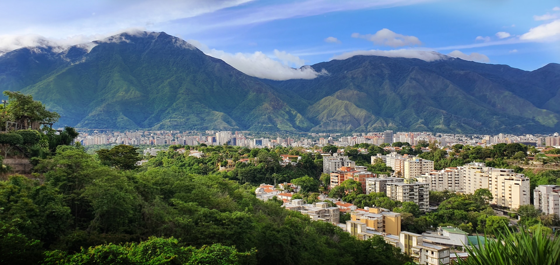 fixer in Caracas